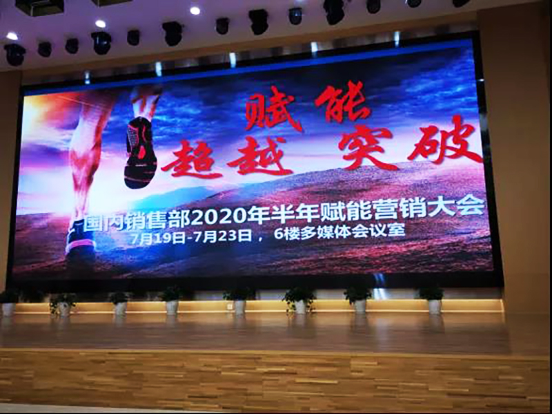 南方略助力利欧2020年半年赋能营销工作大会1